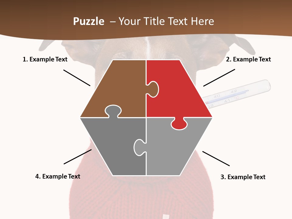 Surgery Emergency Veterinarian PowerPoint Template