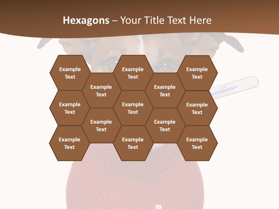 Surgery Emergency Veterinarian PowerPoint Template