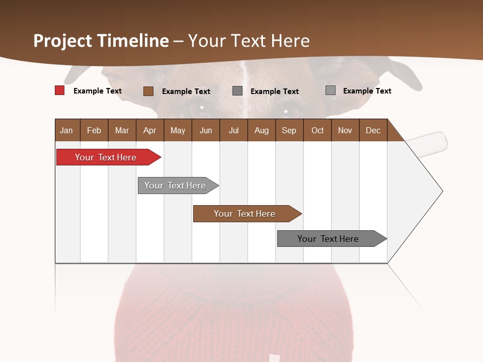 Surgery Emergency Veterinarian PowerPoint Template