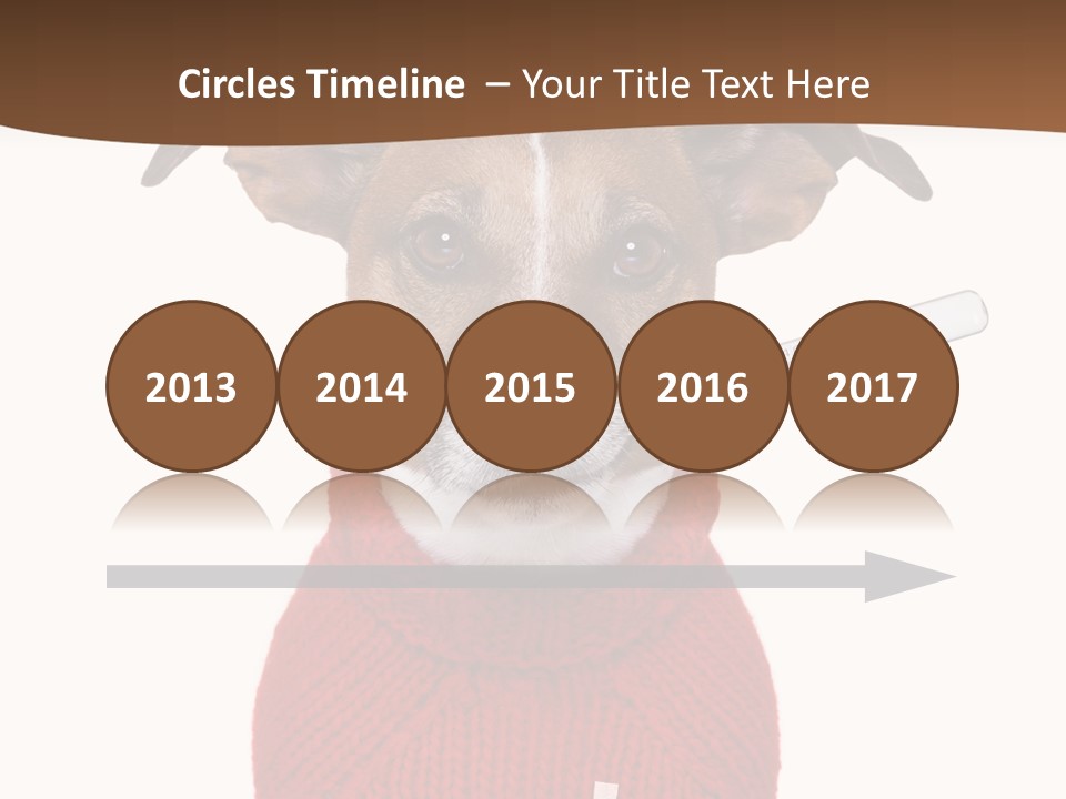 Surgery Emergency Veterinarian PowerPoint Template