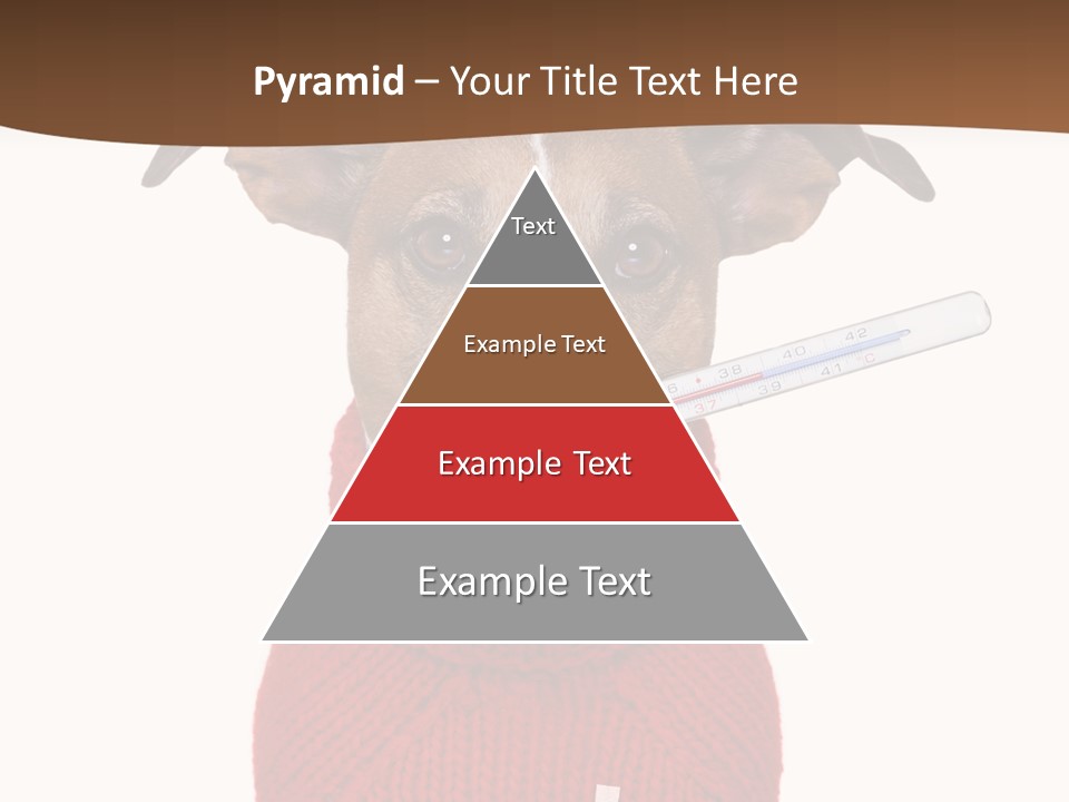 Surgery Emergency Veterinarian PowerPoint Template