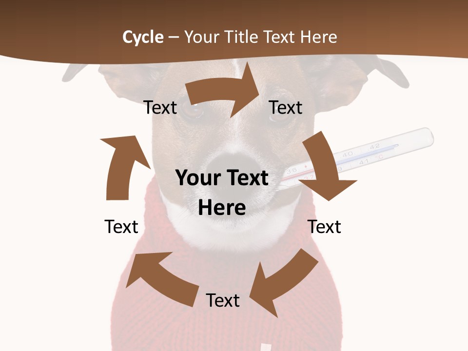 Surgery Emergency Veterinarian PowerPoint Template