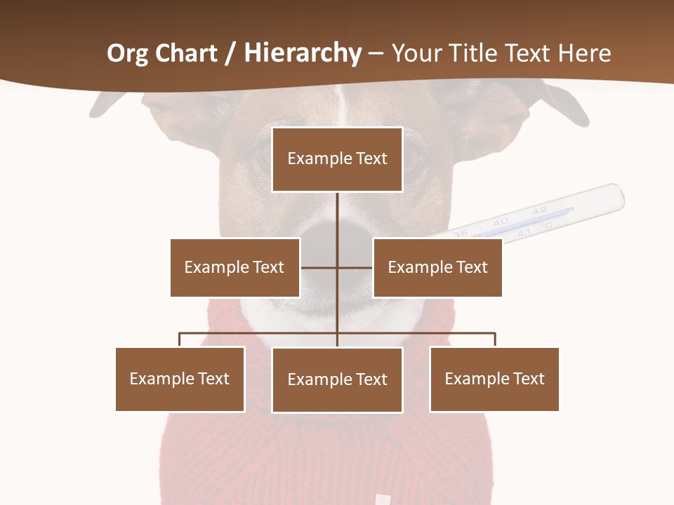 Surgery Emergency Veterinarian PowerPoint Template