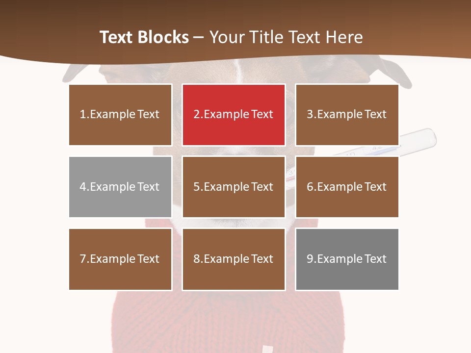 Surgery Emergency Veterinarian PowerPoint Template