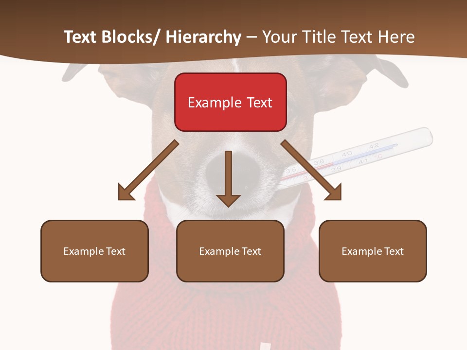 Surgery Emergency Veterinarian PowerPoint Template
