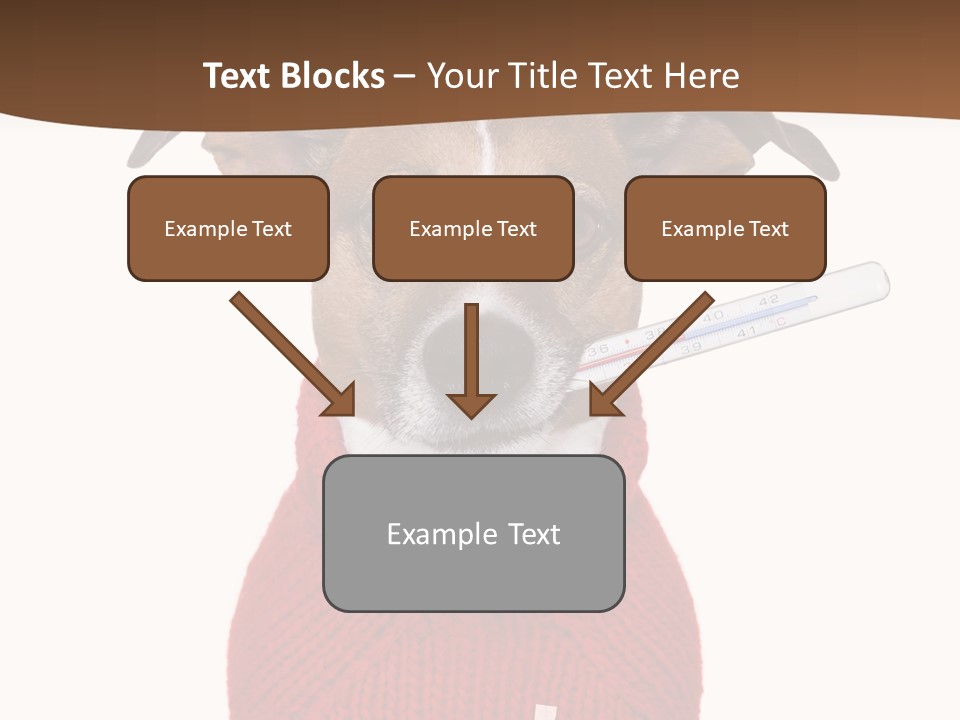 Surgery Emergency Veterinarian PowerPoint Template