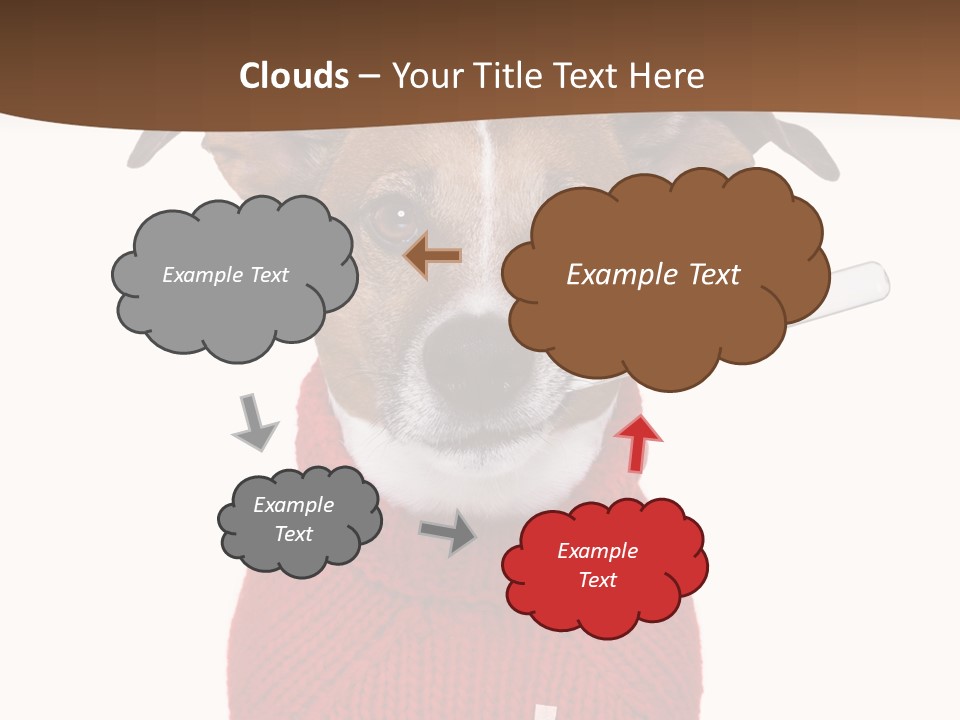 Surgery Emergency Veterinarian PowerPoint Template