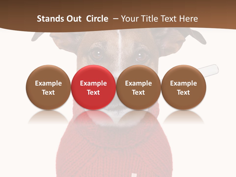 Surgery Emergency Veterinarian PowerPoint Template