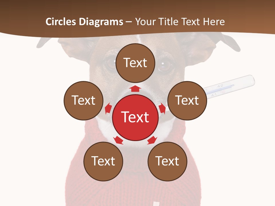 Surgery Emergency Veterinarian PowerPoint Template