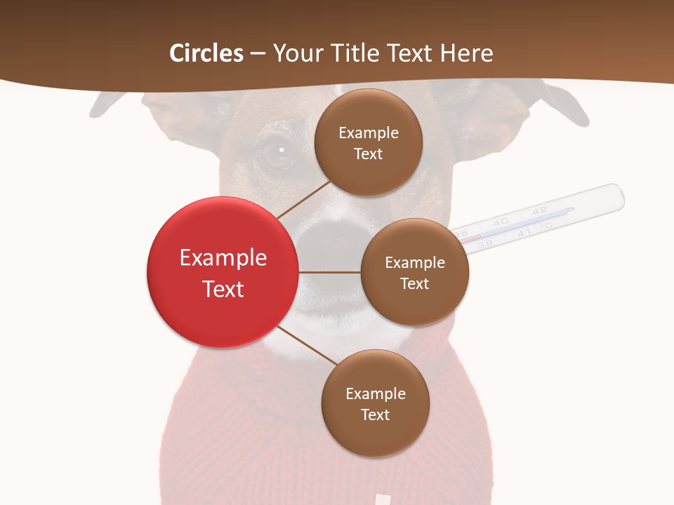 Surgery Emergency Veterinarian PowerPoint Template