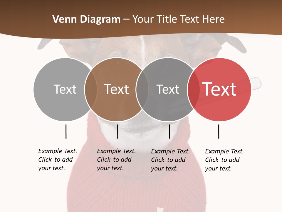 Surgery Emergency Veterinarian PowerPoint Template