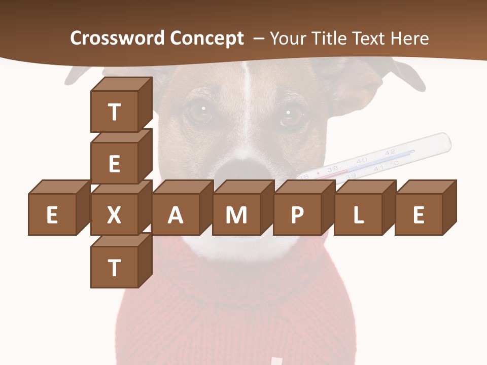 Surgery Emergency Veterinarian PowerPoint Template