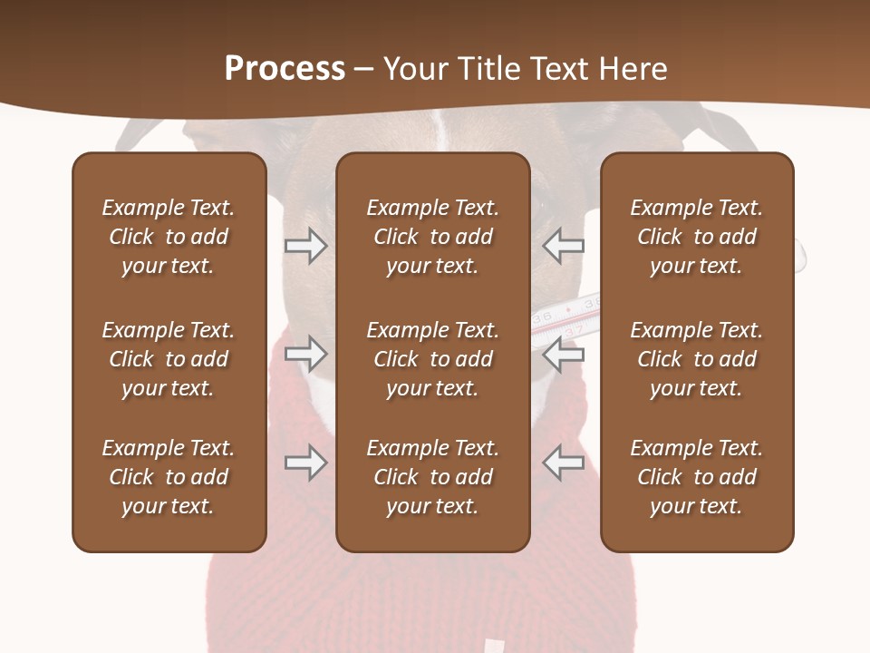 Surgery Emergency Veterinarian PowerPoint Template