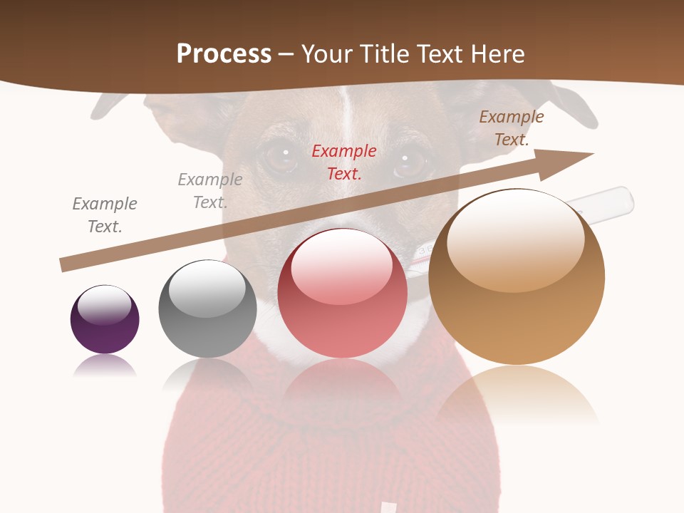 Surgery Emergency Veterinarian PowerPoint Template