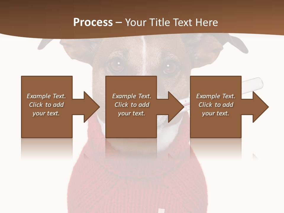 Surgery Emergency Veterinarian PowerPoint Template