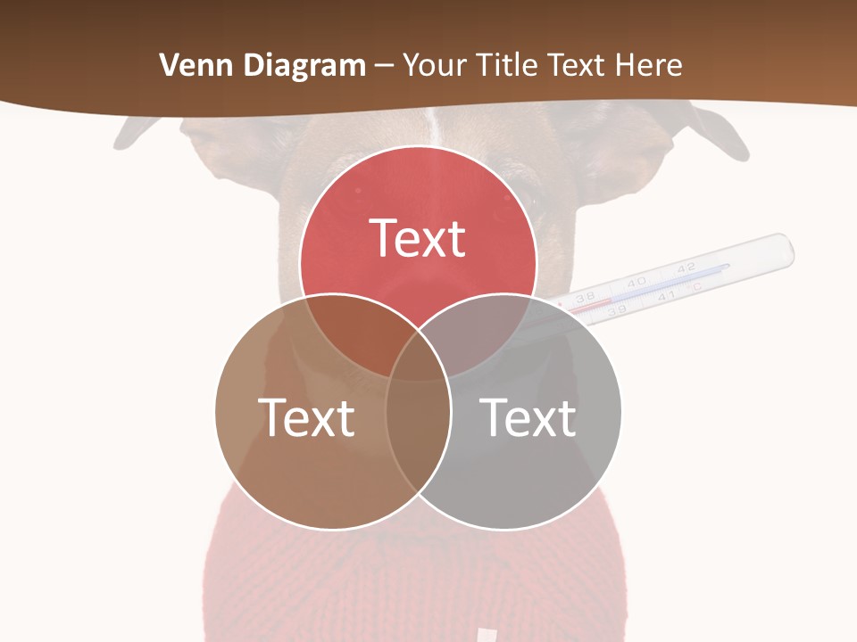 Surgery Emergency Veterinarian PowerPoint Template