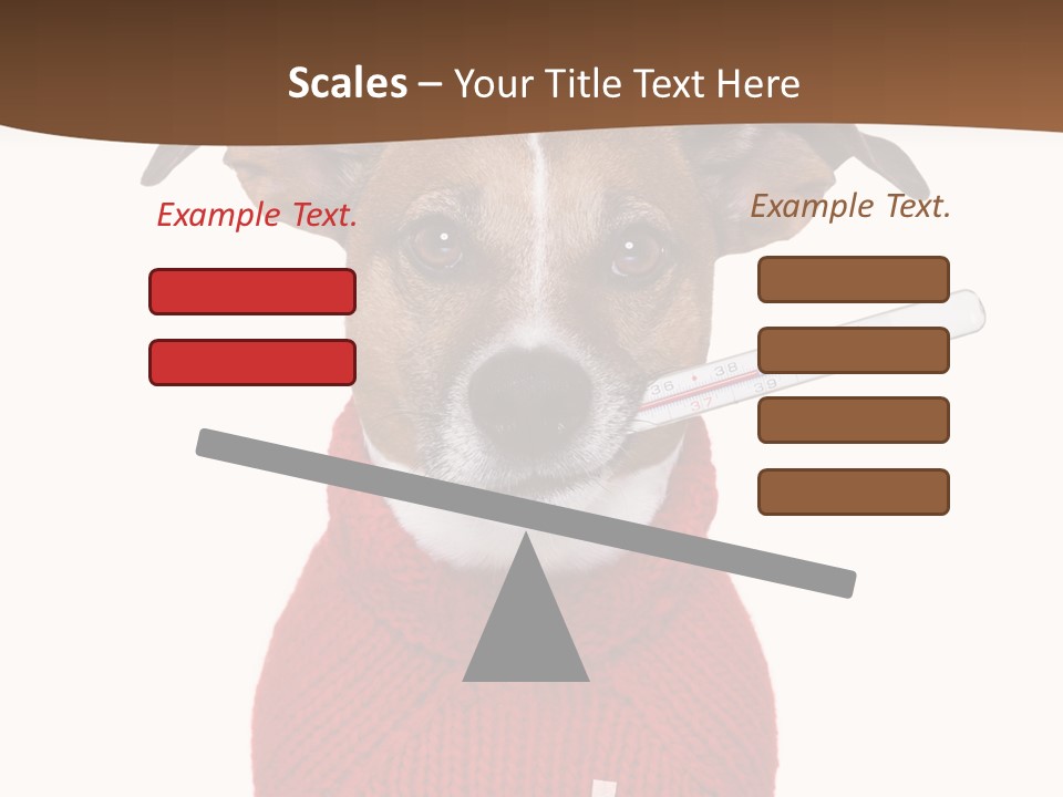 Surgery Emergency Veterinarian PowerPoint Template