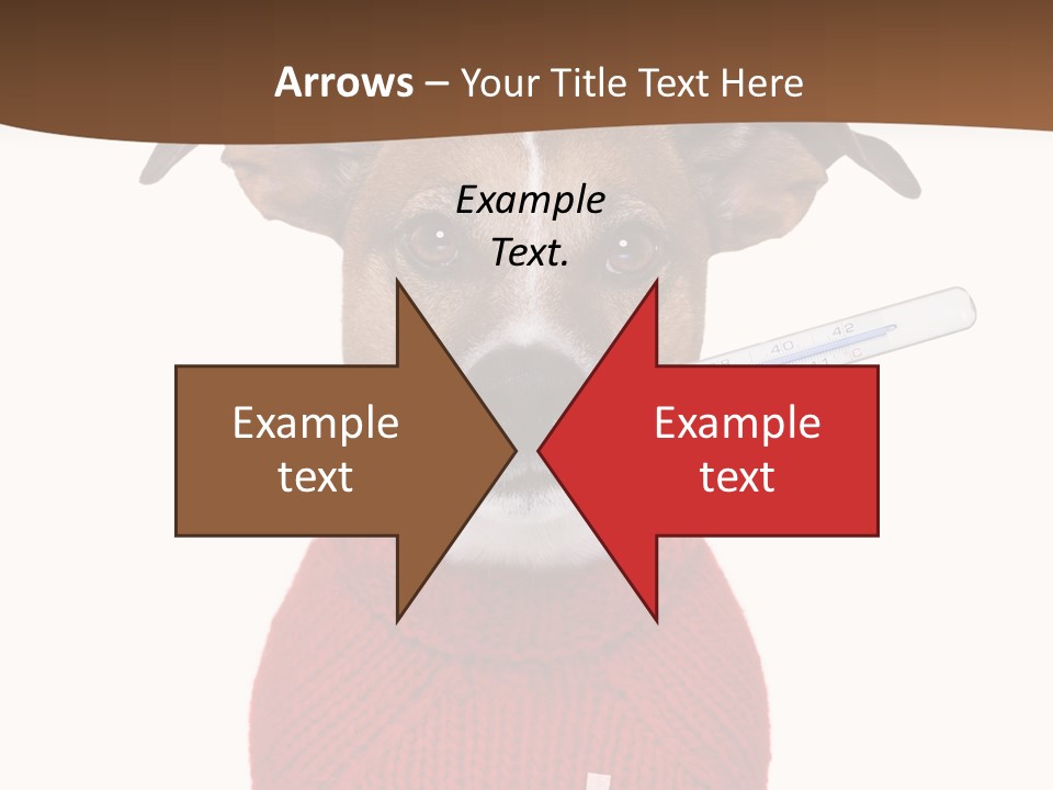 Surgery Emergency Veterinarian PowerPoint Template