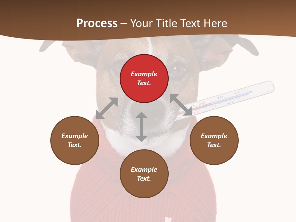 Surgery Emergency Veterinarian PowerPoint Template
