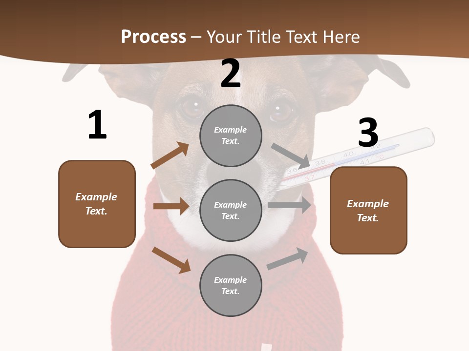 Surgery Emergency Veterinarian PowerPoint Template