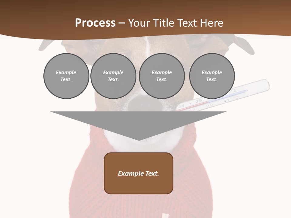 Surgery Emergency Veterinarian PowerPoint Template