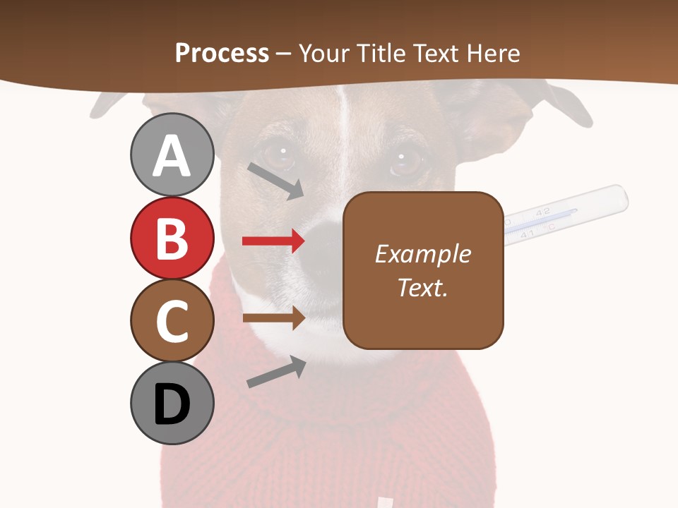 Surgery Emergency Veterinarian PowerPoint Template