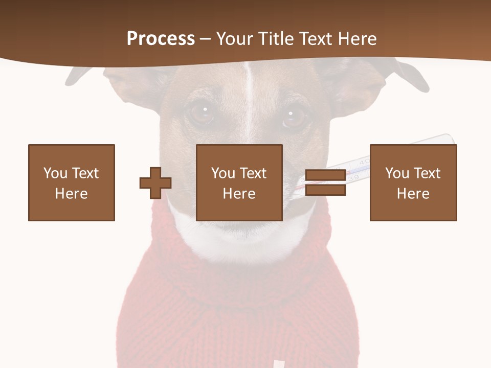 Surgery Emergency Veterinarian PowerPoint Template