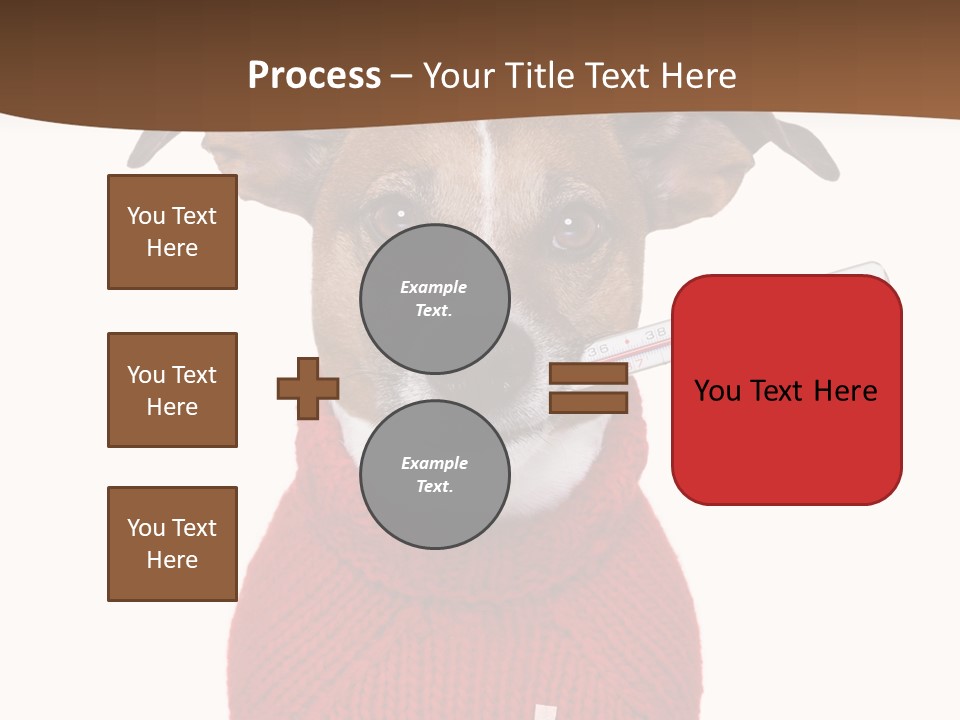 Surgery Emergency Veterinarian PowerPoint Template