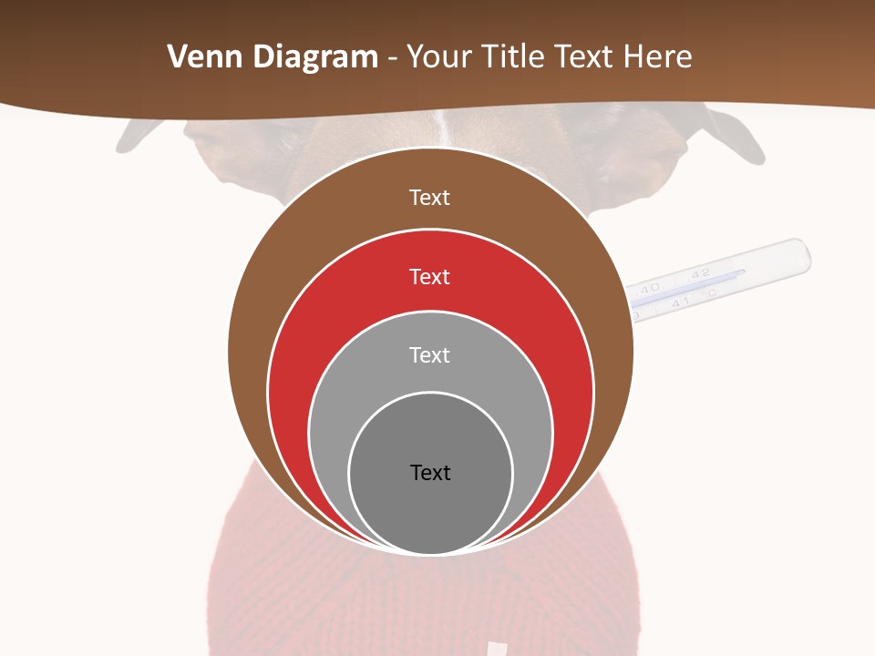 Surgery Emergency Veterinarian PowerPoint Template