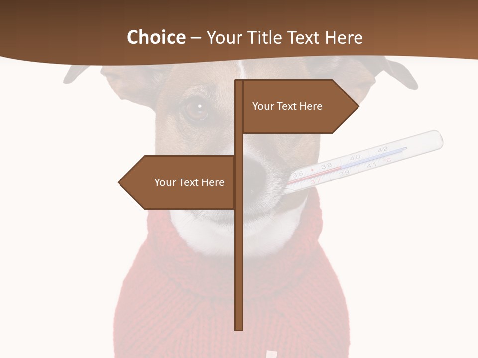 Surgery Emergency Veterinarian PowerPoint Template