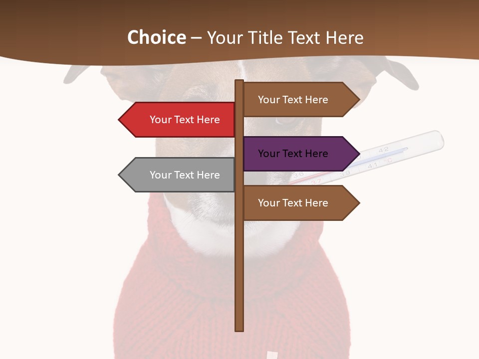 Surgery Emergency Veterinarian PowerPoint Template