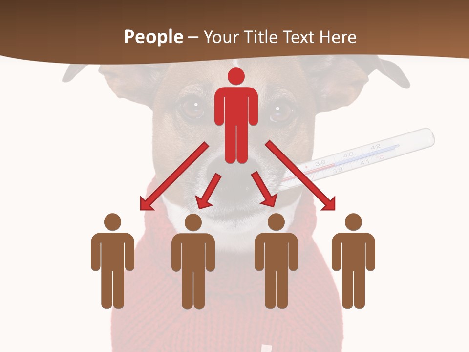 Surgery Emergency Veterinarian PowerPoint Template