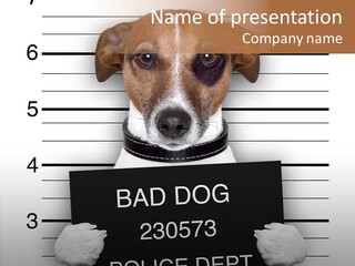 Animal Puppy Mug PowerPoint Template