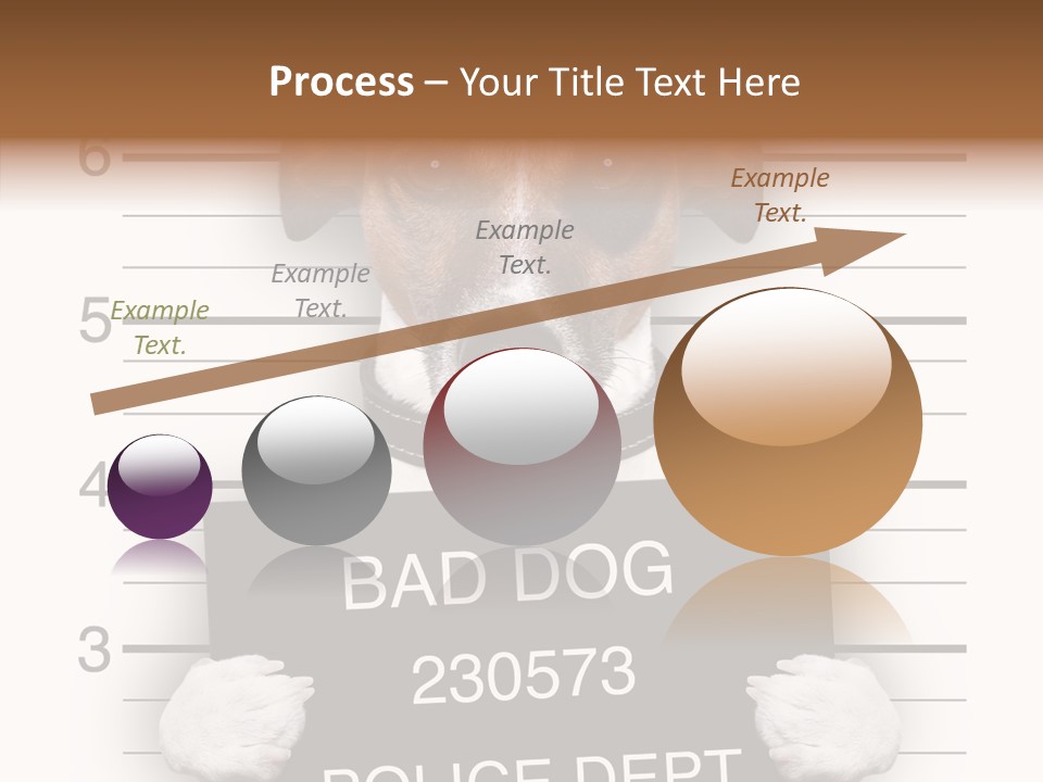 Animal Puppy Mug PowerPoint Template