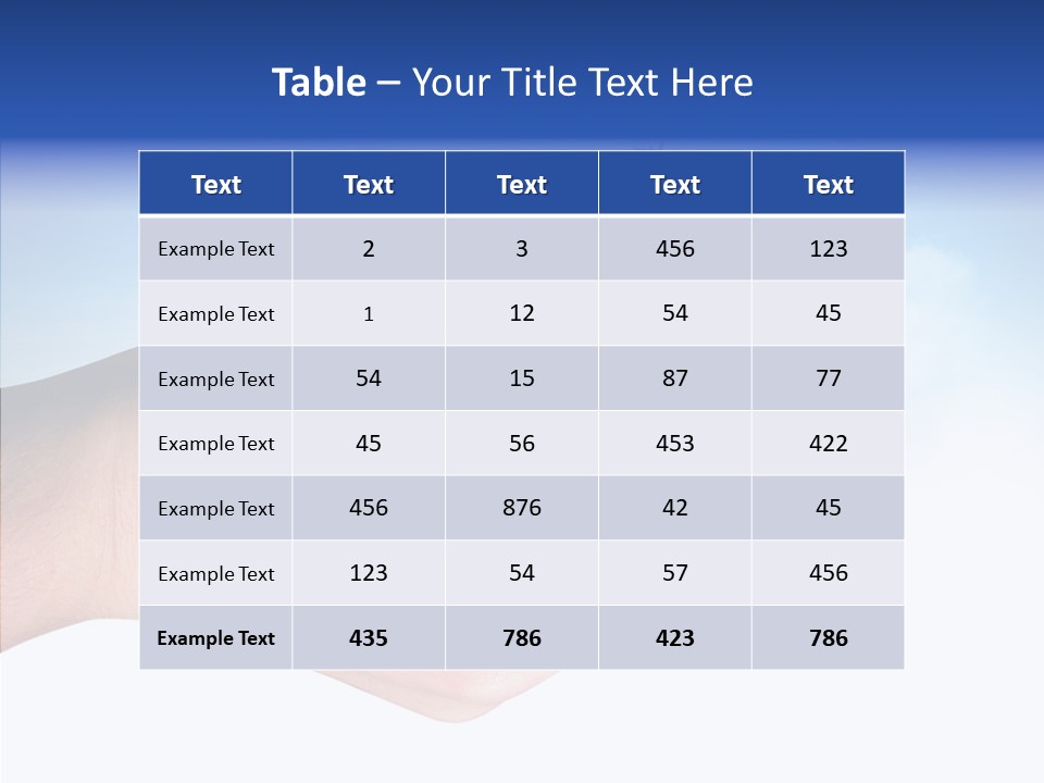 Strategy Plane Landscape PowerPoint Template
