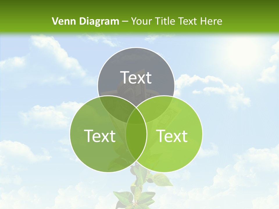 Leaf Currency Wealth PowerPoint Template
