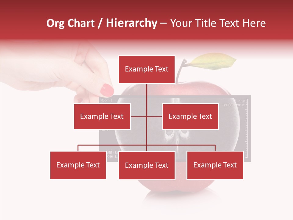 Human Healthy Mri PowerPoint Template