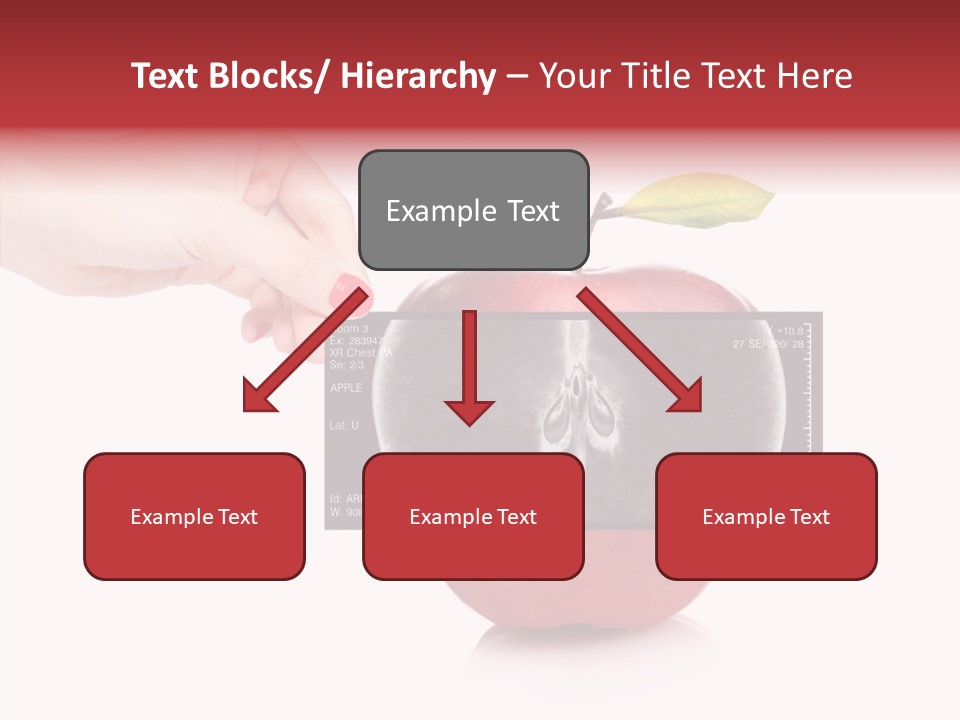 Human Healthy Mri PowerPoint Template