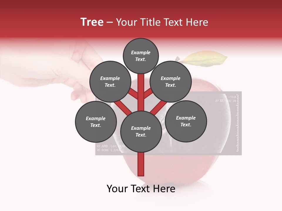 Human Healthy Mri PowerPoint Template