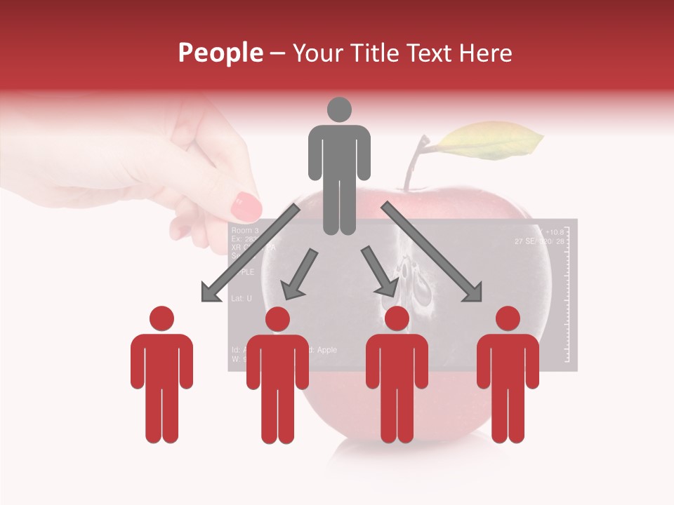 Human Healthy Mri PowerPoint Template