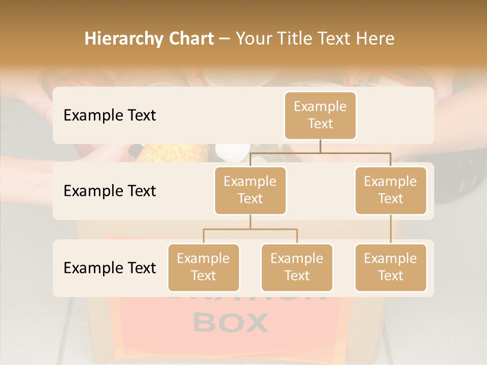 Human Give Donate PowerPoint Template