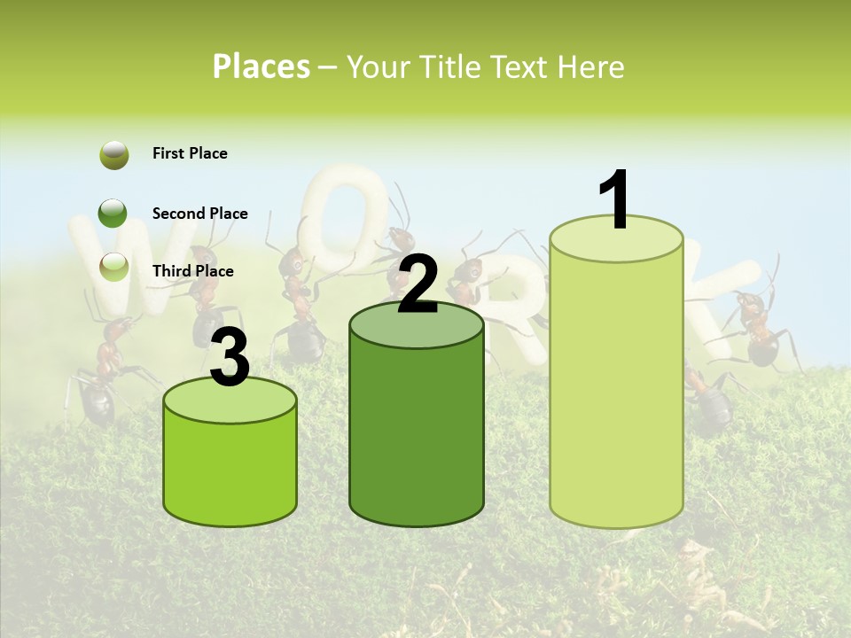 Teamwork Sky Animals PowerPoint Template