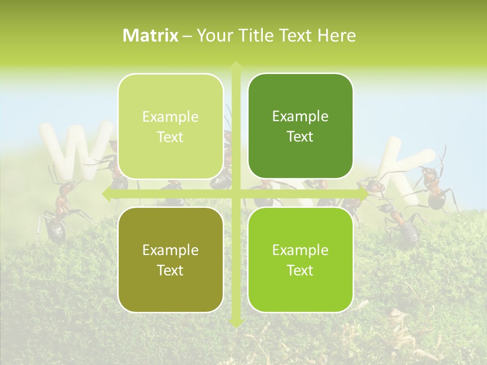 Teamwork Sky Animals PowerPoint Template