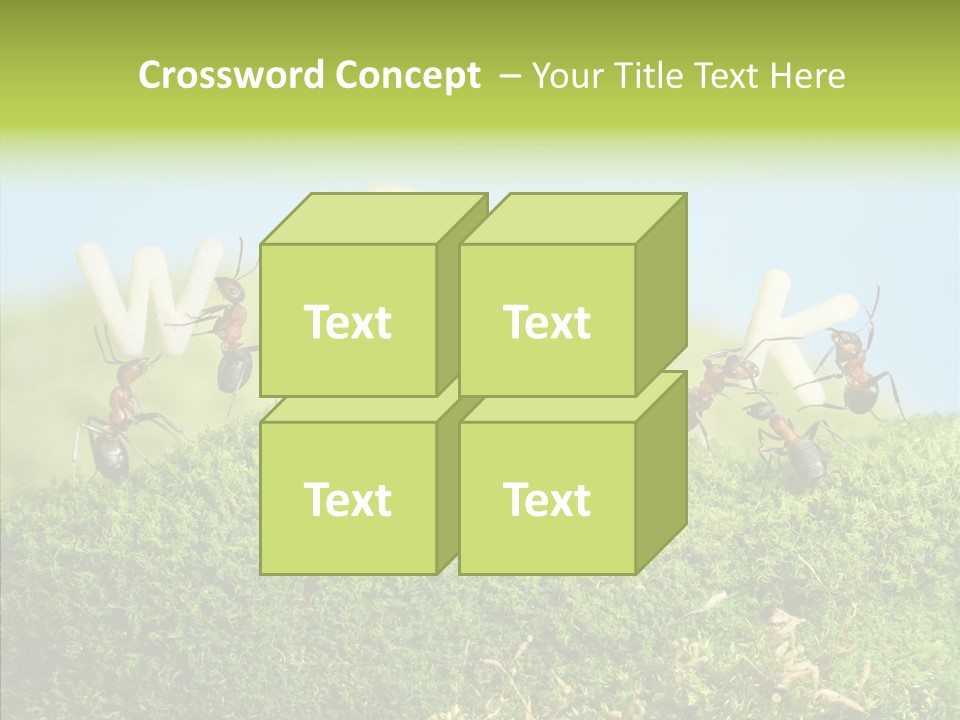 Teamwork Sky Animals PowerPoint Template