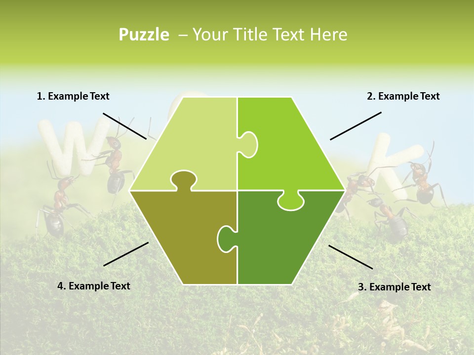 Teamwork Sky Animals PowerPoint Template