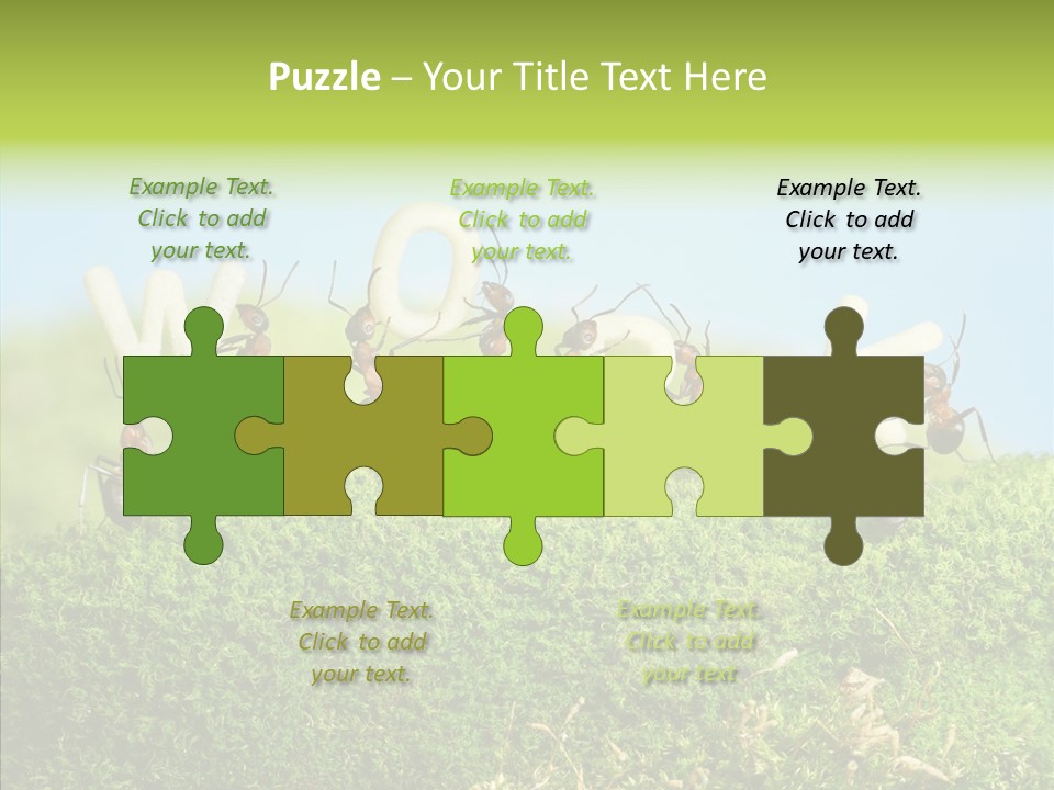 Teamwork Sky Animals PowerPoint Template