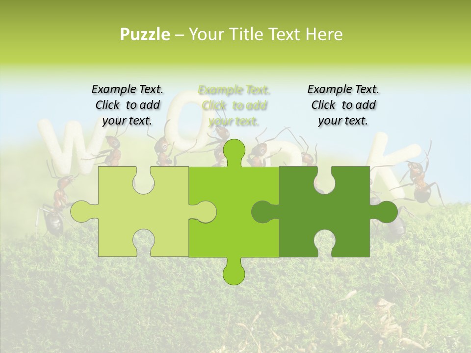 Teamwork Sky Animals PowerPoint Template