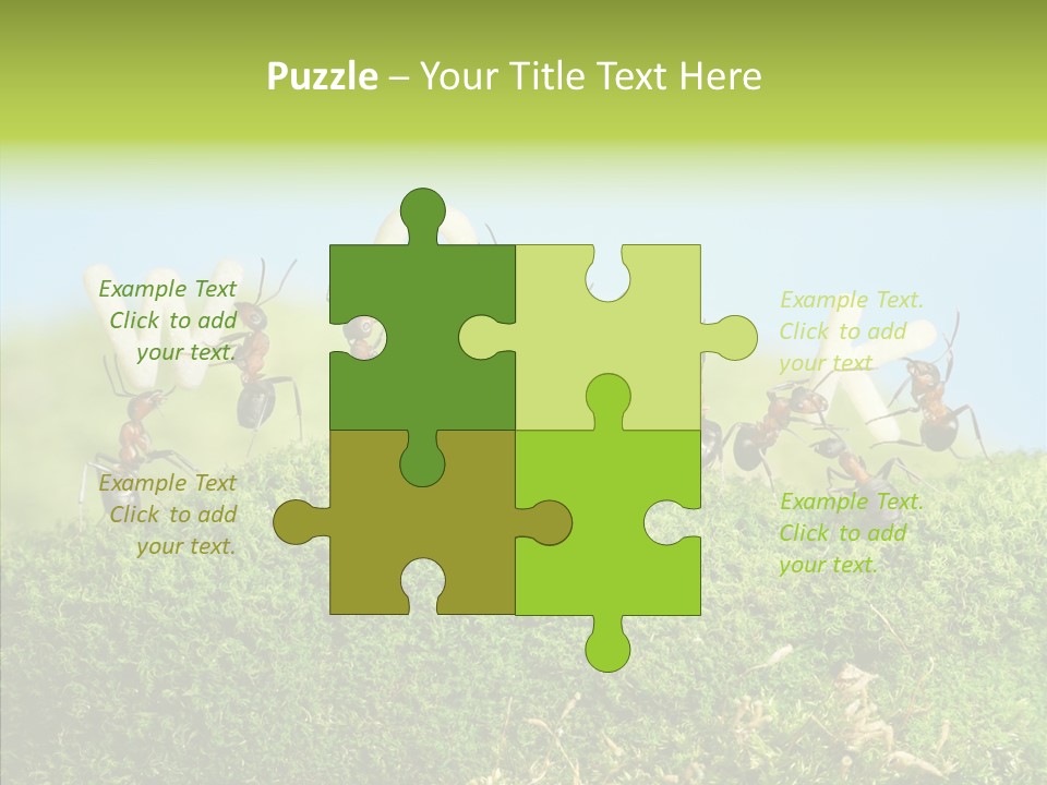 Teamwork Sky Animals PowerPoint Template