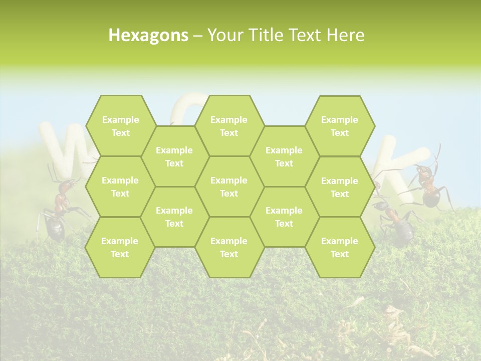 Teamwork Sky Animals PowerPoint Template