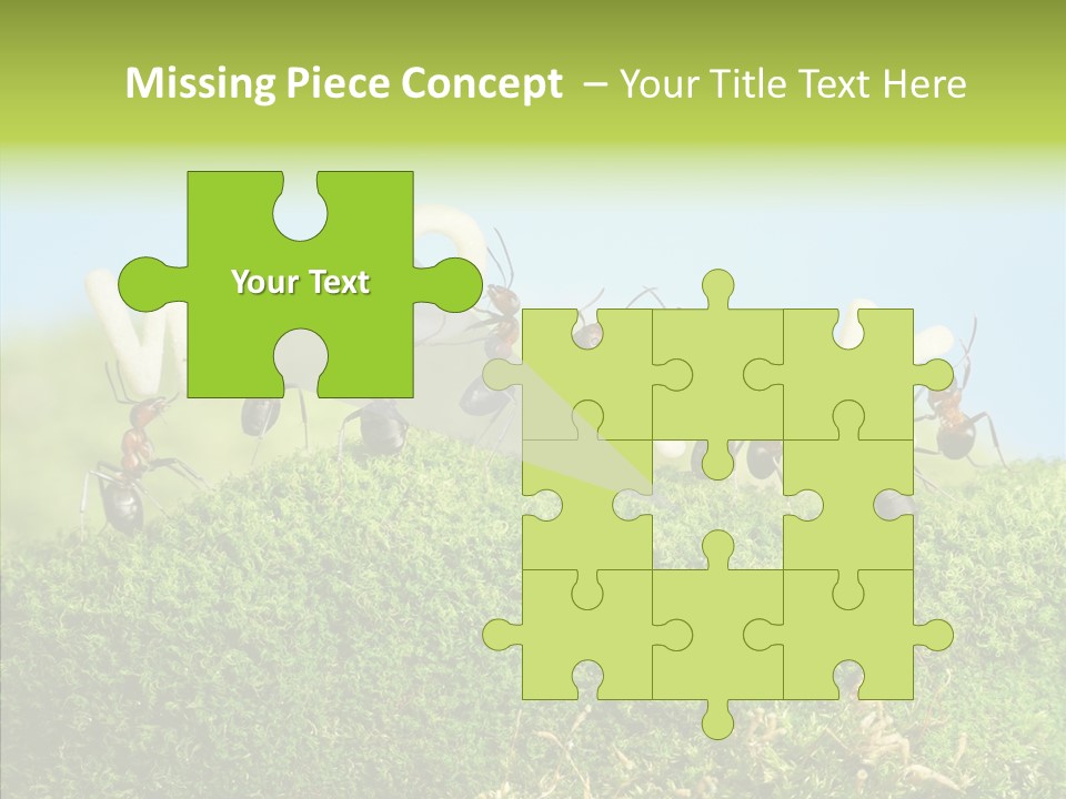 Teamwork Sky Animals PowerPoint Template